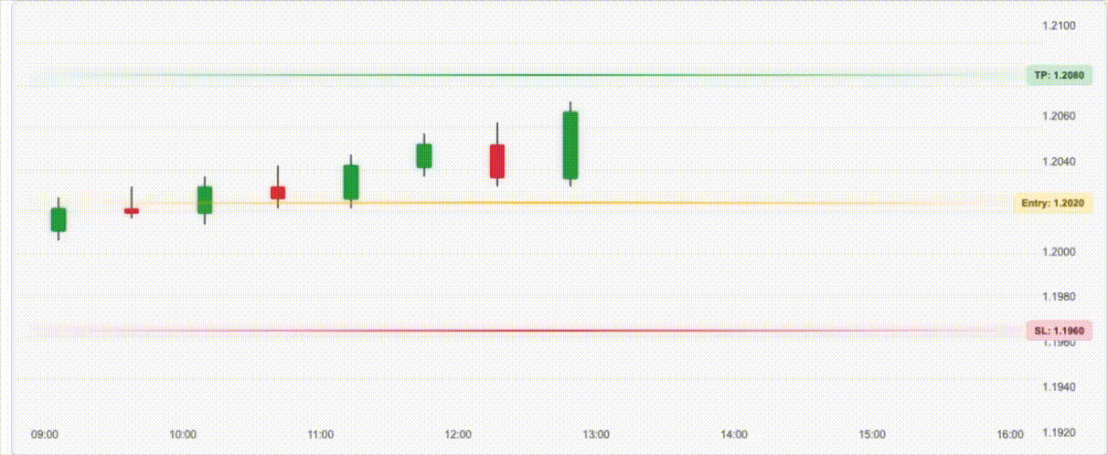 Risk management visualization